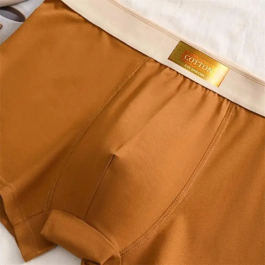 Lot de 5 boxers homme en coton, confortables, respirants, grandes tailles