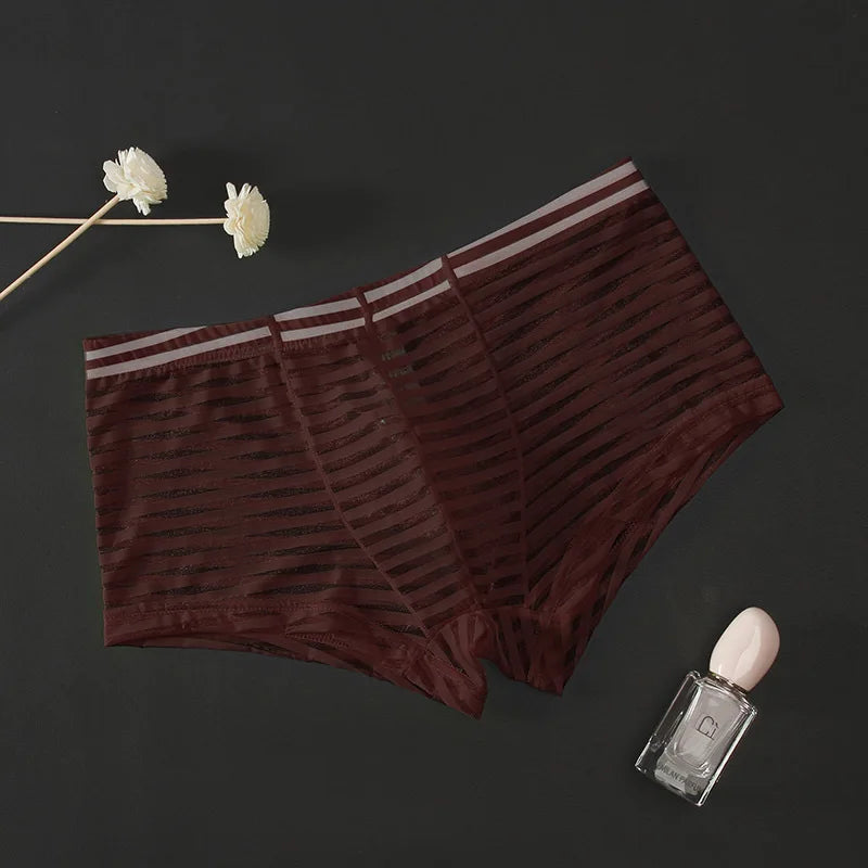 Boxers transparents homme en mesh rayé, taille basse, ultra-fins, bikini sexy, respirants, avec entrejambe 3D