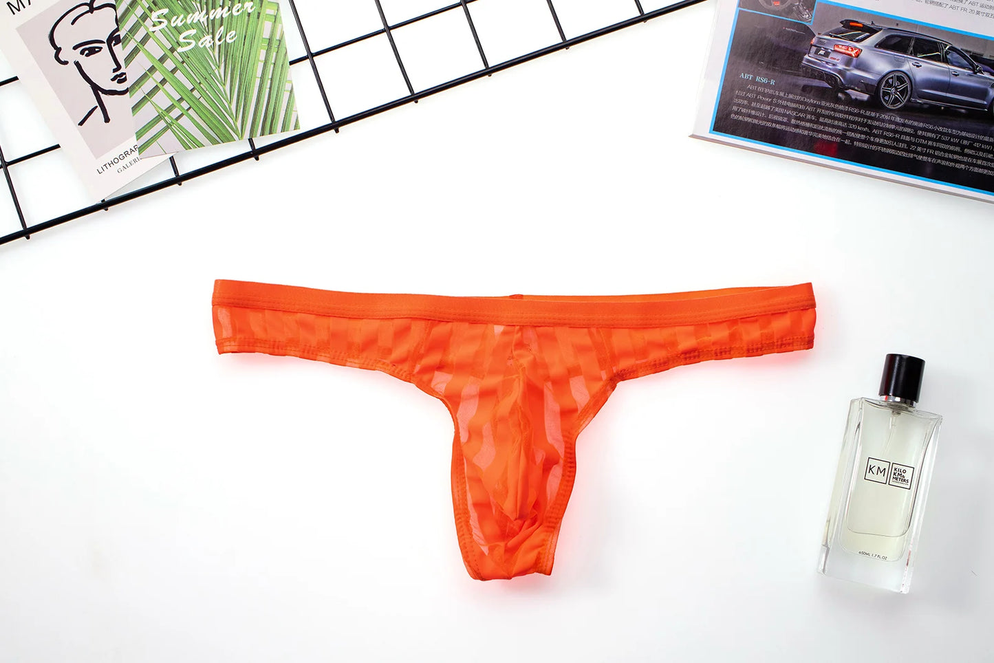 String sexy en maille transparente pour homme – avec poche anatomique, motif rayé, lingerie fine et audacieuse
